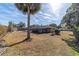 Spacious backyard with mature palm tree and shed at 3261 Se 32Nd St, Ocala, FL 34471