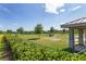 Wide shot of the community dog park with trees and green grass at 9481 Sw 93Rd Loop, Ocala, FL 34481