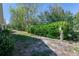 Expansive backyard featuring mature trees and lush greenery creating a private outdoor space at 915 Ashmeade Ct, Port Orange, FL 32127