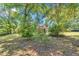 The backyard is surrounded by mature trees at 8082 Sw 103Rd Ln, Ocala, FL 34481