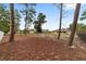 Large backyard enveloped by mature trees, offering shade and a serene natural setting at 10458 Sw 52Nd Ct, Ocala, FL 34476