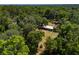 A house surrounded by dense foliage and towering trees is pictured from above at 18341 Nw 142Nd Court Rd, Williston, FL 32696
