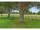 Park-like backyard features a tire swing, tree swings, dark metal fence, mature trees and green grass at 23510 Oak Prairie Cir, Sorrento, FL 32776