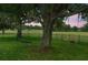 Park-like backyard features a tire swing, tree swings, dark metal fence, mature trees and green grass at 23510 Oak Prairie Cir, Sorrento, FL 32776