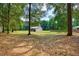 Lush backyard view with mature trees, barn structure, and distant fence at 3005 Se 156Th Place Rd, Summerfield, FL 34491