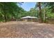 Large backyard with mature trees, surrounded by wooden fence and foliage at 3005 Se 156Th Place Rd, Summerfield, FL 34491