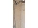Shower head with a decorative tile surround at 2233 Ardon Ave, Orlando, FL 32833