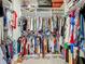 Bright walk-in closet with built-in shelving and rods for ample storage at 6612 Tempo Way, Groveland, FL 34736