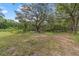 Spacious backyard featuring a mix of grassy areas, mature trees, and natural woodland surroundings at 221 Se 167Th Ct, Silver Springs, FL 34488