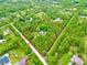 Aerial view of verdant acreage showcasing the property in a lush, green, and private setting at 3682 Jack Pine Ln, Ormond Beach, FL 32174
