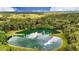 Aerial view of a heart-shaped community lake surrounded by trees and lush greenery at 3940 Se 5Th Ave, Ocala, FL 34480