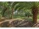 Expansive backyard featuring lush greenery and mature palm trees offering ample shade and privacy at 5881 Avenue H, Mc Intosh, FL 32664