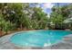 An inviting in-ground pool surrounded by mature trees and lush landscaping at 5881 Avenue H, Mc Intosh, FL 32664