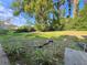 Backyard featuring mature trees and landscaping at 11027 Sw 75Th Ave, Ocala, FL 34476