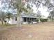 View of house exterior and backyard with large tree at 1163 Cephia St, Lake Wales, FL 33853