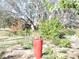 Landscaped backyard with red pot fountain and various plants at 2153 Capps Rd, Lake Wales, FL 33898