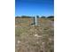 View of a well on the property with surrounding grass and shrubbery at 1385 N Lake Reedy Blvd, Frostproof, FL 33843