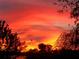 Dramatic sunset over lush trees, creating a picturesque and serene atmosphere at 1800 N Scenic Hwy, Babson Park, FL 33827