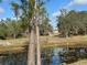 Scenic view of pond with lily pads and tall trees bordering the landscape and the house in the background at 2134 R E Byrd Rd, Frostproof, FL 33843