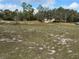 Spacious property surrounded by trees at 2134 R E Byrd Rd, Frostproof, FL 33843