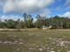 Large grassy front yard with scattered trees and blue sky and clouds in the background at 2134 R E Byrd Rd, Frostproof, FL 33843