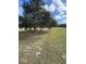 Mature trees in grassy yard with blue sky at 2134 R E Byrd Rd, Frostproof, FL 33843