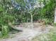 Wooded backyard showing a clearing and a red utility vehicle among the palms and spanish moss covered trees at 3123 Mar Lisa Cove Rd, Lake Wales, FL 33898