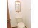 Small bathroom featuring a toilet and mirror at 3567 Red Oak Ct, Lake Wales, FL 33898