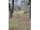Secluded wooded lot featuring lush foliage and a hunting blind for the outdoor enthusiast at 1885 Pfundstein Rd, Babson Park, FL 33827