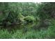 Lush greenery surrounds a serene pond reflecting the trees and sky above at 4725 Kayworth Rd, Lake Wales, FL 33898