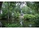 Scenic view of the pond surrounded by lush greenery and mature trees at 4725 Kayworth Rd, Lake Wales, FL 33898