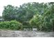 Enjoy a backyard pond with lush landscape and mature trees at 4725 Kayworth Rd, Lake Wales, FL 33898