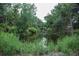 Scenic view of a pond surrounded by lush trees at 4725 Kayworth Rd, Lake Wales, FL 33898