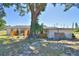 Exterior of property with a large tree, fenced in yard, and other features at 509 N Scenic Hwy, Frostproof, FL 33843