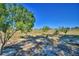 Property with irrigation and trees at 509 N Scenic Hwy, Frostproof, FL 33843