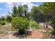 Lush backyard landscape, with garden and screened-in pool area that creates an oasis of natural beauty at 882 Redwood Way, Lake Wales, FL 33898