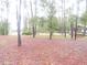 View of wooded property, with tall trees and bench seat at 9365 Lemon Dr, Lake Wales, FL 33898