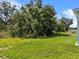 Green backyard featuring mature trees and lush lawn, offering a private outdoor space at 4502 Fairway Oaks Dr, Mulberry, FL 33860
