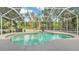 Screened in pool area with waterfall feature and lush landscaping beyond fence at 7365 Millbrook Oaks Dr, Lakeland, FL 33813