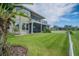 Backyard featuring a covered patio and large lawn, with mature palm trees and landscaping at 7330 Reflections Lake Dr, Lakeland, FL 33813