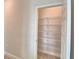 Walk-in pantry featuring multiple shelves to accommodate all storage needs at 4538 Grandview Glen Dr, Auburndale, FL 33823