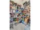 Walk-in pantry equipped with wire shelving for organized storage at 1001 Lena Run Ct, Winter Haven, FL 33880