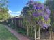 Charming brick home featuring a lush, mature vine with vibrant purple blooms enhancing its curb appeal at 4428 Sugartree E Dr, Lakeland, FL 33813