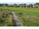 Ground view showing path and surrounding vegetation at 5225 Imperial Lakes Blvd # 22, Mulberry, FL 33860