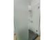 A frosted glass shower door reveals a mosaic tiled shower floor in this bathroom at 1323 Valley E Hl, Lakeland, FL 33813