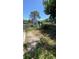 Backyard view shows an exterior shed and overgrown grass at 3709 Feather Dr, Lakeland, FL 33812