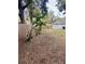 Backyard with wooden fence and tropical plants at 520 Green Cir, Fort Meade, FL 33841