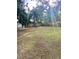 Large backyard with trees and a shed at 520 Green Cir, Fort Meade, FL 33841