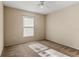 Carpeted bedroom with window and ceiling fan at 8183 Westmont Terrace Dr, Lakeland, FL 33810