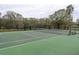 Expansive green tennis court with surrounding trees at 731 Lake Clark Ct, Lakeland, FL 33813